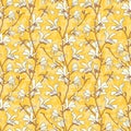 Seamless pattern with magnolia tree blossom. Yellow floral background with branch and white magnolia flower. Spring Royalty Free Stock Photo