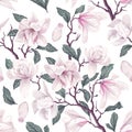 Floral seamless pattern with white Anise magnolia flowers,