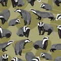 Seamless pattern with males, females and cubs of European badger. Meles meles in different poses.