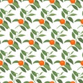 Seamless pattern with mandarin branches