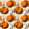 Seamless pattern: mandarins or apples, unique pencil drawings of fruits combined into beautiful compositions