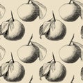 Seamless pattern: mandarins or apples, unique pencil drawings of fruits combined into beautiful compositions