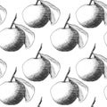 Seamless pattern: mandarins or apples, unique pencil drawings of fruits combined into beautiful compositions