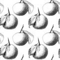 Seamless pattern: mandarins or apples, unique pencil drawings of fruits combined into beautiful compositions