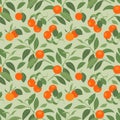Seamless pattern with mandarins on light green background