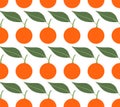 Seamless vector pattern with mandarins on white background