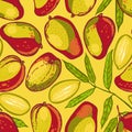 Seamless pattern with mango. Collection of mangos. Tropical fruit. Hand drawn food background. Royalty Free Stock Photo