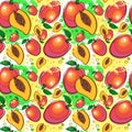 Seamless Pattern Mango Fruits Exotic Ornament Background Royalty Free Stock Photo