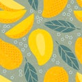 Seamless pattern. Mango juicy fruits leaves and flowers. Royalty Free Stock Photo