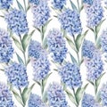 Seamless pattern with many blue hyacinths. Royalty Free Stock Photo