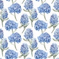 Seamless pattern with many blue hyacinths. Royalty Free Stock Photo