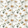 Seamless pattern with many chamomiles.