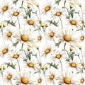 Seamless pattern with many chamomiles.