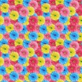 Seamless pattern of many colorful gerbera flowers, bright multi-colored daisy flower repeating ornament, summer floral wallpaper Royalty Free Stock Photo