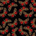 Seamless pattern many red butterflies Catocala on black background, red black unusual insect texture Royalty Free Stock Photo