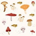 The seamless pattern of many type mushroom set. a group of mushroom in the white background. cute cat and mushroom in flat vector