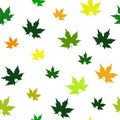 Seamless pattern colorful maple leaf on white background. Autumn color leaves botanical print, vector eps 10 Royalty Free Stock Photo