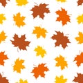 Seamless pattern with maple leaves of different colors and sized Royalty Free Stock Photo