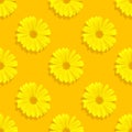 Seamless pattern Marigold flowers on a orange background. A flower of calendula isolated. Yellow flower of calendula Royalty Free Stock Photo