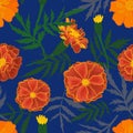 orange marigold flowers on blue background
