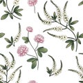 seamless pattern of meadow flowers clover cornflower tansy, anise, thistle isolated