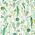 Seamless pattern with wild flowers, herbs, grasses. Watercolor hand drawn botanical illustration Royalty Free Stock Photo