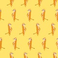 Seamless pattern Meerkat profile on yellow background, vector eps 10