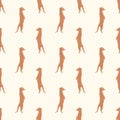 Seamless pattern meerkat
