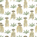 Seamless pattern Meerkat watercolor animal elements set Mongoose leaves flowers