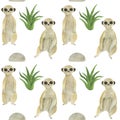 Seamless pattern Meerkat watercolor animal elements set Mongoose leaves flowers