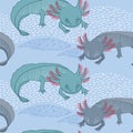Seamless pattern with Mexican axolotl Royalty Free Stock Photo