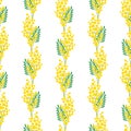 Seamless pattern with mimosa blossoms. Spring design for wallpaper, fabric, wrapping paper. Vector Royalty Free Stock Photo