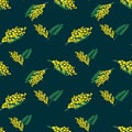 Seamless pattern with mimosa blossoms. Spring design for wallpaper, fabric, wrapping paper. Vector Royalty Free Stock Photo