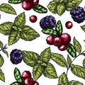 Seamless pattern with mint leaves, cranberries and blackberries Royalty Free Stock Photo