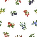 Seamless pattern with mix of berry branches. Endless botanical background with bilberry, blackberry, cranberry and