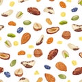 Seamless pattern with mix of dried fruits, nuts and seeds on a white background. Vector illustration Royalty Free Stock Photo