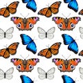 Seamless pattern with monarch butterflies and blue morpho butterflies Royalty Free Stock Photo