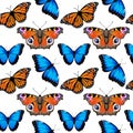 Seamless pattern with monarch butterflies and blue morpho butterflies Royalty Free Stock Photo