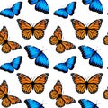 Seamless pattern with monarch butterflies and blue morpho butterflies Royalty Free Stock Photo