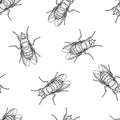 Seamless pattern of monochrome flys illustration. Vector illustration template