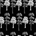 Seamless pattern with monochrome trees. Vector.