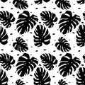 Seamless pattern with monstera leafs. Tropcal background Royalty Free Stock Photo