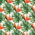 Seamless pattern with monstera leaves and strelizia flowers. Natural realistic background.