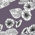 Seamless pattern with morning glory. Hand drawn. Graphics Royalty Free Stock Photo