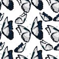 Seamless pattern morpho butterfliese butterfly monarch