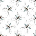 Seamless pattern with mosquito.Culex pipiens. hand-drawn mosquito. Vector