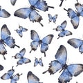 Seamless pattern with moth or blue butterfly. Hand draw watercolor Insect illustration. Endless background for wallpaper