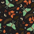 Seamless pattern with moths and leaves. Vector graphics Royalty Free Stock Photo