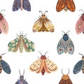 Seamless pattern. Moths on a white background