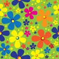 Seamless pattern multicolor chamomile